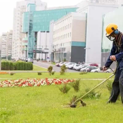 Área verde cuidada pela Afonso Oliveira Áreas Verdes