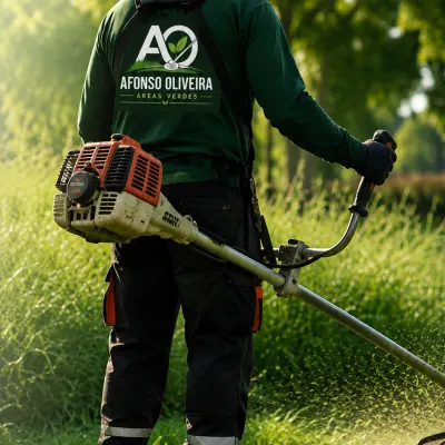 Área extensa de sítio roçada